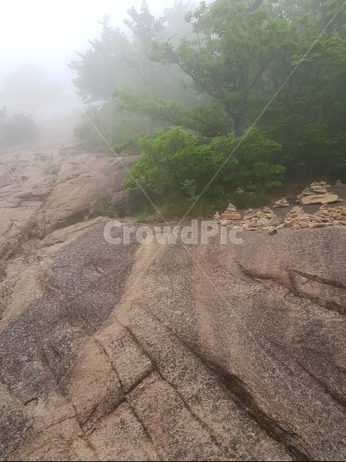 설악산,산,자연,풍경,나무,안개자욱,설악산정상,안개,설악산안개,숲,숲속안개,바위,돌