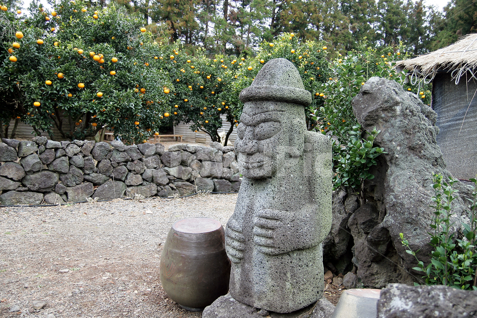 제주도,돌하르방,귤,jejuisland,stonesculpture,tangerine,tangerinetree,제주도,jeju,jeju island