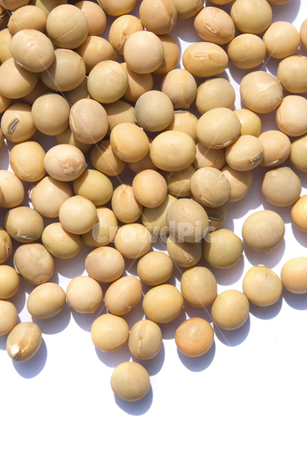 식재료,vegetable,갈색,브라운,곡류,곡식,음식,흰배경,모아놓은,모으기,농작물,음식재료,콩류,모아둔,자연,메주콩,soybean,soy,bean,식물,열매,많은,다수,콩,탑,탑뷰,탑앵글