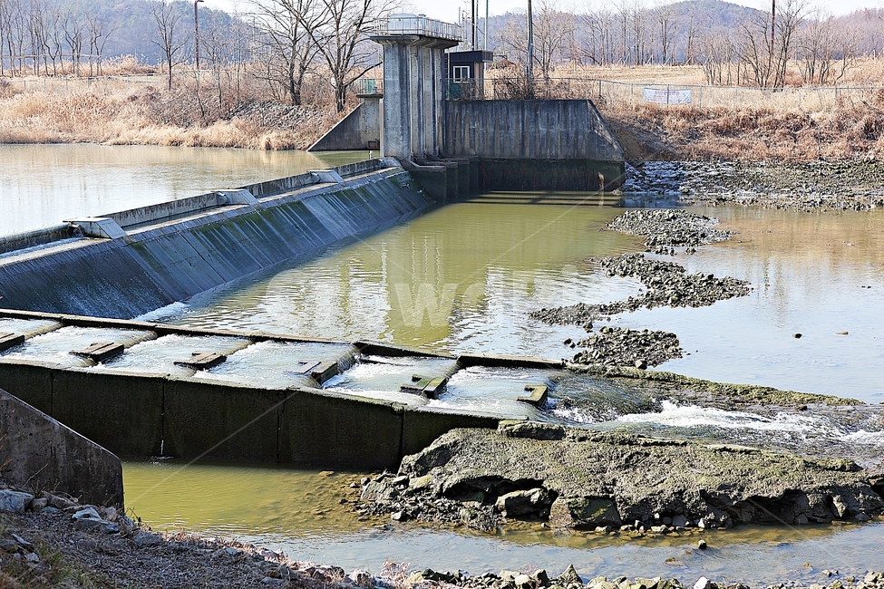 보,수로,물길,물고기길,강물,생태계,자연,풍경,겨울