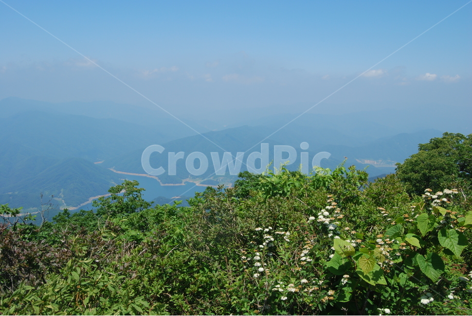 사명산,봄,휴양림,자연,야생,자연,풍경,nature,landscape,한국자연풍경,한국자연경관,korea nature landscape,mountain range,산맥,mountain,산,outdoors,옥외