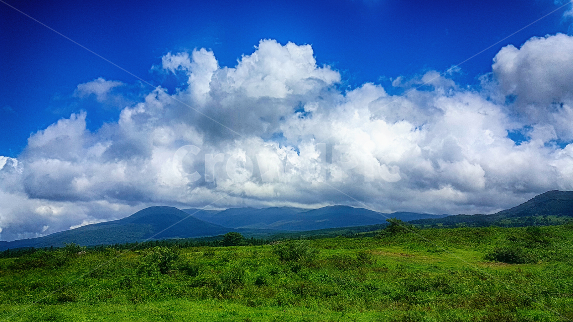 한라산,파란하늘,흰구름,풍경,nature,자연,outdoors,옥외,grassland,목초지,field,들,푸른하늘,목장,제주,자연,풍경,nature,landscape
