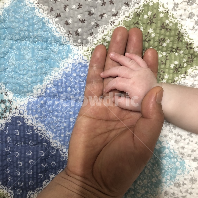 아기,손,엄마,정,따듯함,이불,집,사람,인물,인간,human,person,신체일부,몸,body,가족,패밀리,family,영유아,아기,애기,아이,infants,baby