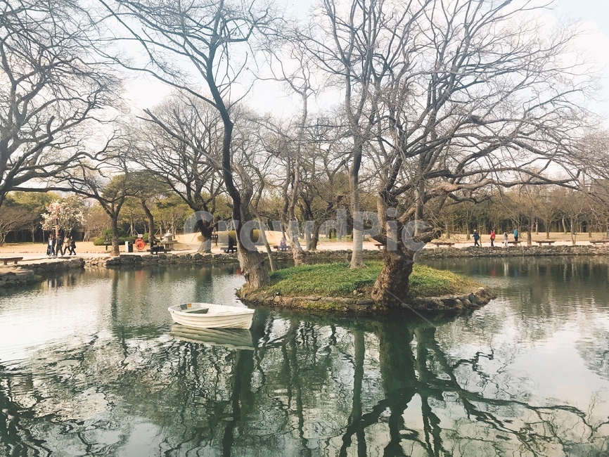 water,물,nature,자연,outdoors,옥외,연못,광한루원