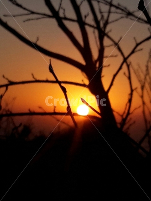 wind noise,sunrise,beauty,ecosystem,greatness of nature,scenery,mountain climbing,healing,mountain,season,land,ridge,mysterious mountain,Korea,sky,nature,famous Korean mountain,Ganghwamanisan Mountain,tree,hiking,hiking trail,Chamseongdan,stone,environmen