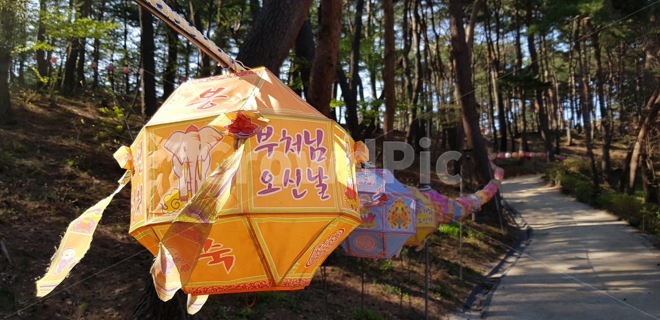부처님오신날,연등,절,사찰,불교,종교,신앙,religion,belief,faith,축제,행사,festival,carnival,event