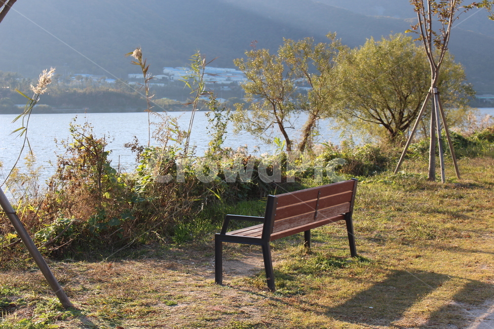 bench,벤치,furniture,가구,parkbench,공원벤치,풍경