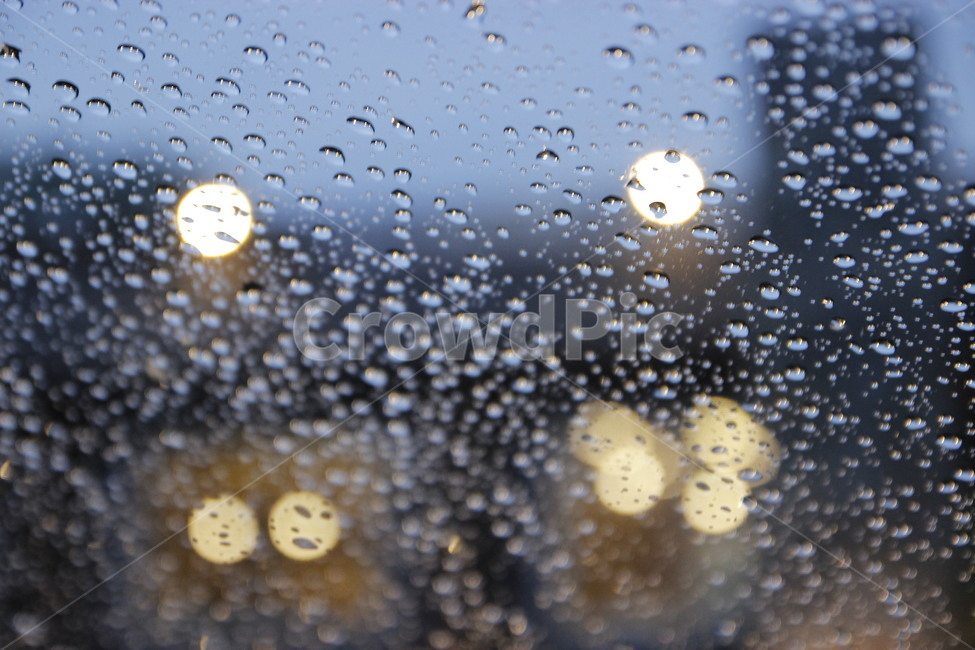 비,비오는날,rainyday,보케,빗방울,물방울,비,비오는날,rain,rainy