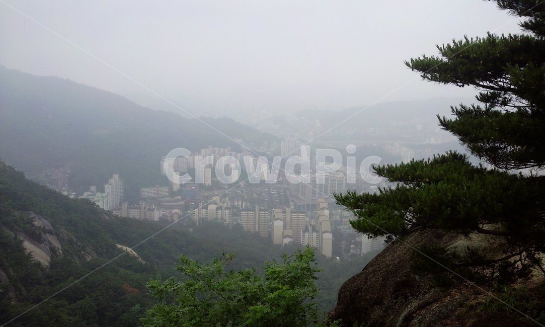 인왕산,안개,산,소나무,nature,옥외,outdoors,서울,seoul
