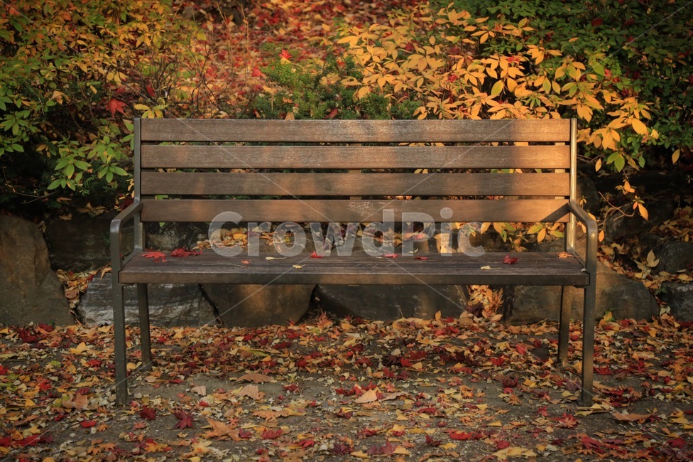가을,낙엽,단풍,의자,정원,가을,계절,fall,autumn,season,자연,풍경,nature,landscape,bench,벤치,park bench,공원 벤치,furniture,가구