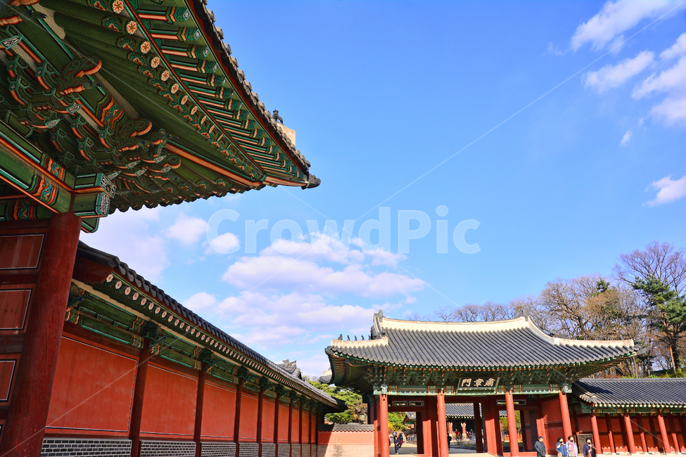 한국전통,고궁,창덕궁,궁궐,서울,명소,traditional,korean,house,건축물,집,하우스,조선시대,보존,전통,역사,하늘,구름,청명,ancientpalace,바탕,백그라운드,배경,기와집,history,background,한국전통,한국문화,korean traditional,korean culture,랜드마크,landmark,tourist attraction,한국랜드마크,한국관광지,한국명소,korea landmark,korea tourist attraction,건축물,건물외관,exterior,building,structure,architecture,construction