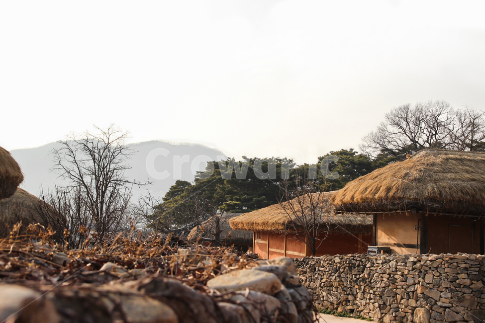 초가,초가집,한국전통가옥,한국적인,돌담길,나무,산,한국전통,한국의미,지붕,식물,한국집,소나무,외암마을,외암민속마을,tradition,korea,한국,시골,마을,풍경,landscape,country,rural,town,한국전통,한국문화,korean traditional,korean culture