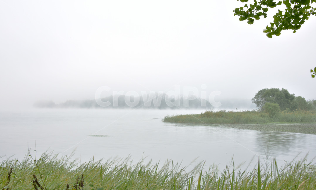 nature,자연,물안개,풍경,토끼섬,두물머리,자연,풍경,nature,landscape,outdoors,옥외,weather,날씨