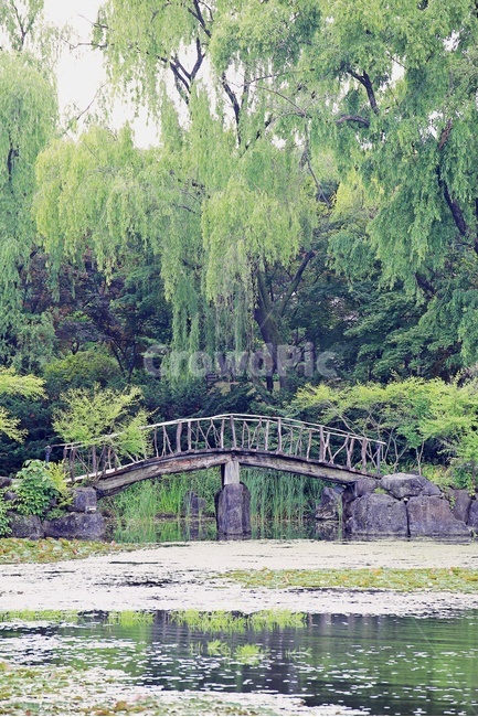 다리,호수,수목원,나무,연못,숲,녹색,green,lake,bridge,water,tree,자연,풍경,nature,landscape,한국자연풍경,한국자연경관,korea nature landscape,plant,식물