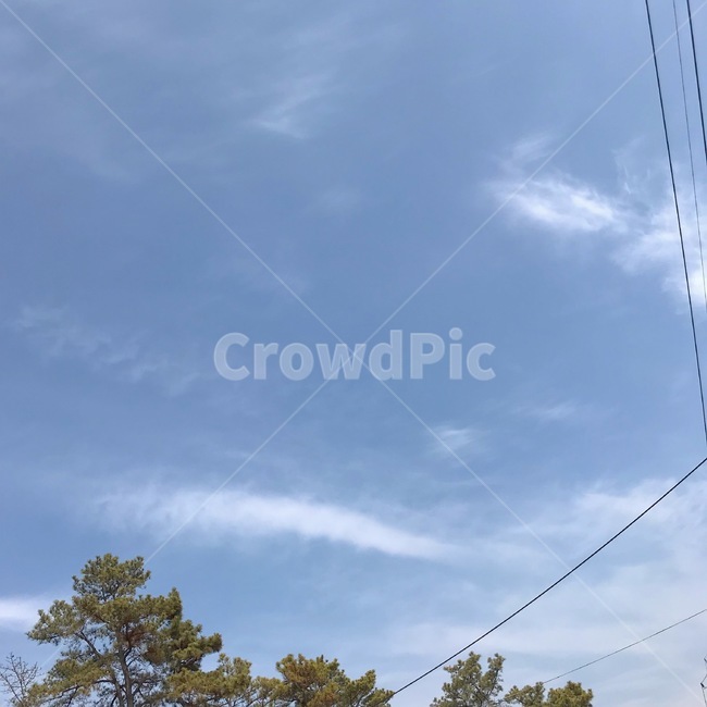 나무,하늘,구름,전깃줄,숲,자연,풍경,nature,landscape,cable,케이블,electric transmission tower,송전탑,power lines,전력선