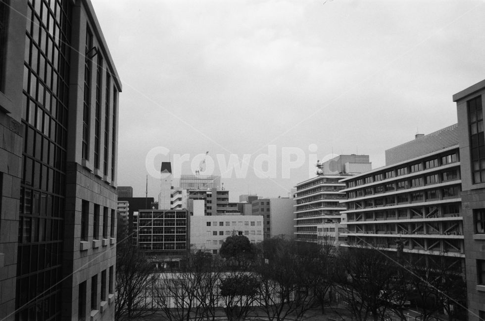 일본건물,일본,건물,도시,도심,빌딩