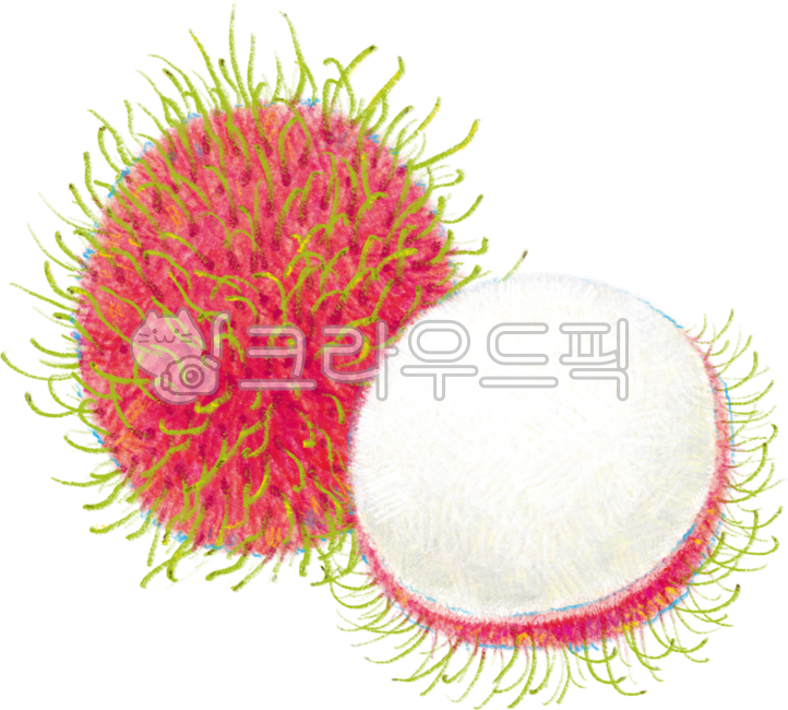 Red,Fruit,fruit,Rambutan,fruits and vegetables,tropical fruit,pulp,rambutan,food