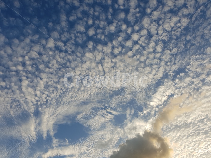 하늘,구름,파란하늘,여름,여름하늘,맑은하늘,sky,summersky,clouds,sunnyday,bluesky