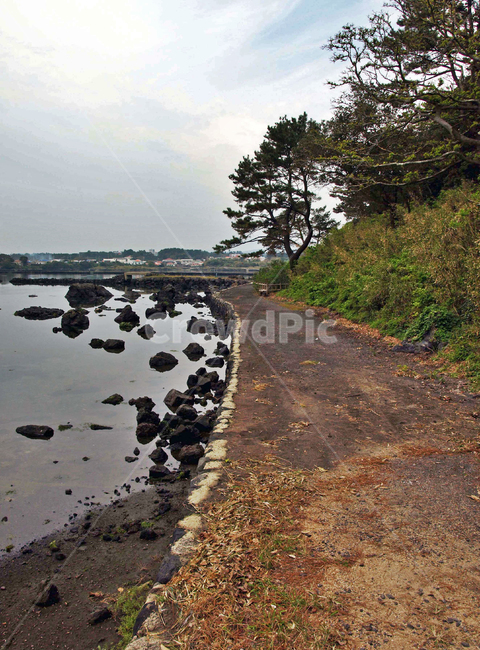 식산봉,내수면둑방길,내수면,제주,올레2코스,서귀포시,둑,슾지,자연,풍경,nature,landscape,gravel,자갈,road,도로,dirt road,흙길