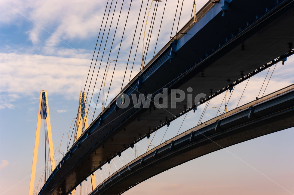bridge,다리,도로,road,진도대교