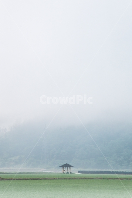 보은,새벽,풍경,편안,안개,자연,풍경,nature,landscape,한국자연풍경,한국자연경관,korea nature landscape,weather,날씨,outdoors,옥외