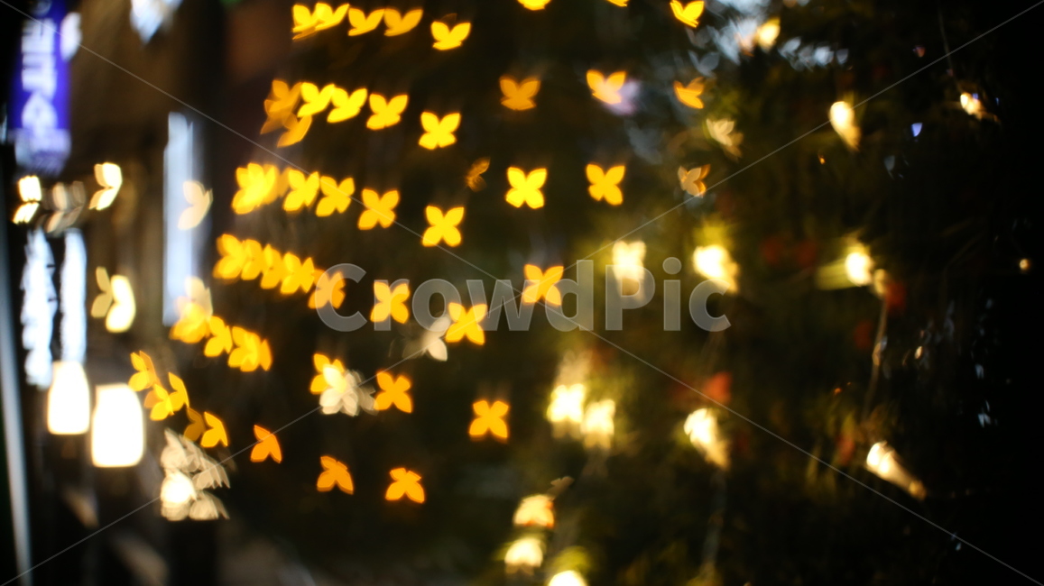 조명불빛,light,보케,bokeh,조명,꼬마전구