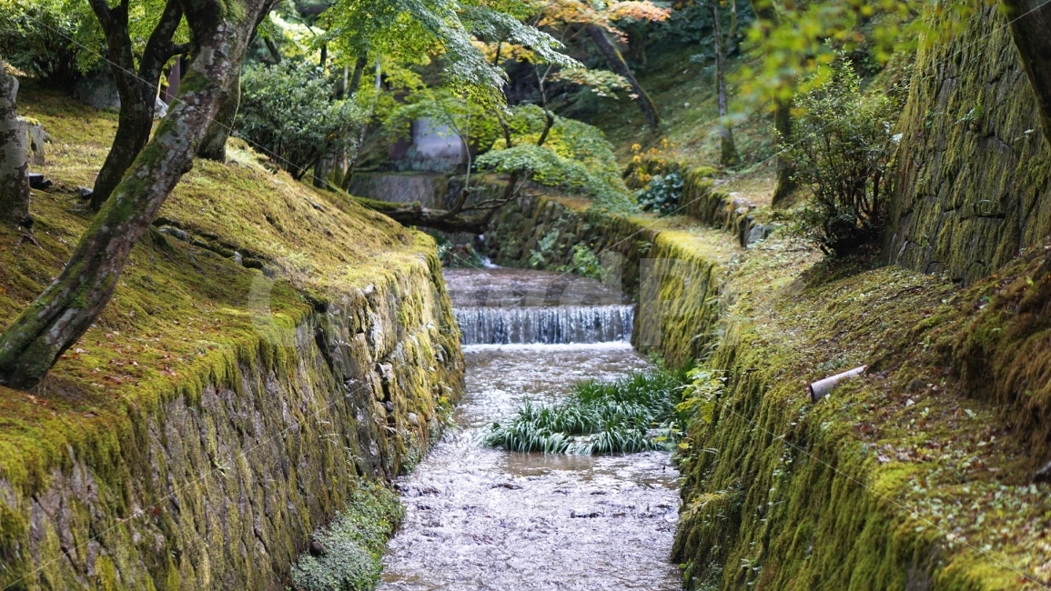여행,travel,여행사진,해외여행,혼자여행,사진,배경사진,배경,이쁜사진,색감,색감좋은사진,일본,일본여행,교토,자연,냇물,시냇물,계곡,풍경,풍경사진,자연,풍경,nature,landscape,해외,외국,세계,foreign,oversea,world,세계자연풍경,해외자연풍경,외국자연풍경,world nature landscape,outdoors,옥외,water,물