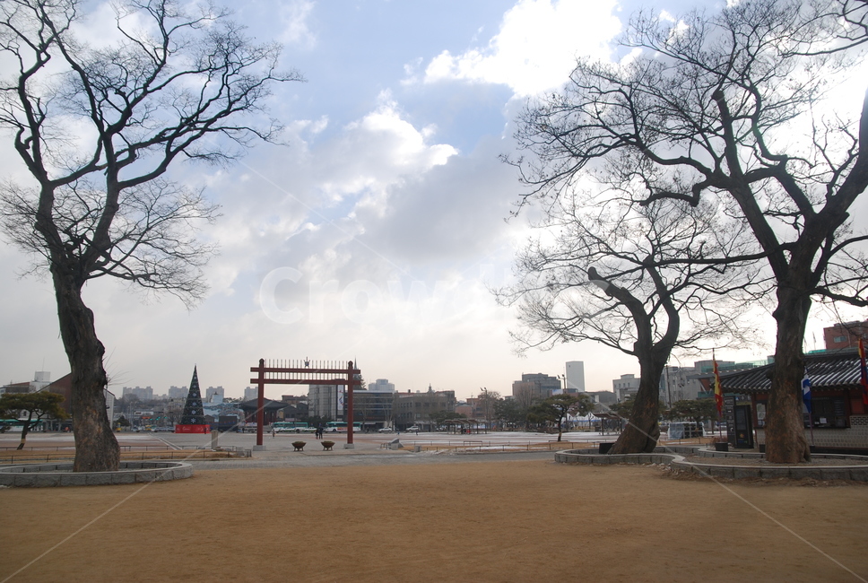 수원,수원화성,suwon,하늘,sky,햇빛,sunray,light,나무,겨울,winter,앙상한,tree,광장,공공장소,쓸쓸한,텅빈