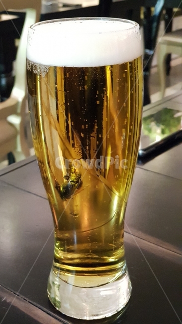 맥주,라거,맛있는,시원한,황금빛,술,수제맥주,호프,맥주거품,치킨이랑잘어울리는,술,주류,alcohol