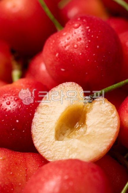 과일,fruit,cherry,앵두,신선한앵두