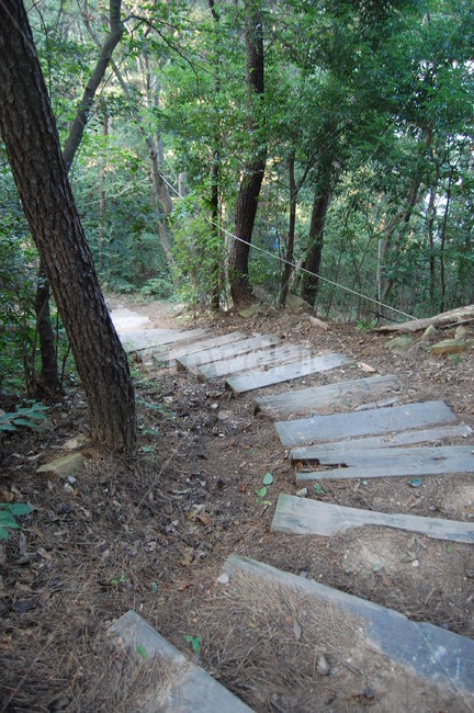 운치,나무,숲,계단,낙엽,자연,풍경,nature,landscape,flagstone,판석,path,통로
