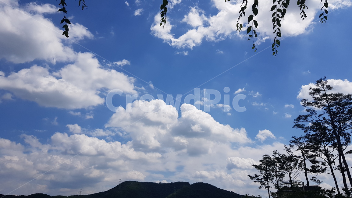 구름,파란하늘,뭉게구름,하얀구름,cloud,bluesky,nature,자연,outdoors,옥외,푸른하늘,azuresky,sky,하늘,나무,산,tree