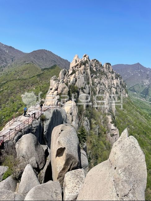 설악산,울산바위,바위산,강원도,관광,산행