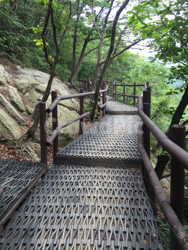 북한산,등산로,자연,등산,여름,식물,자연,plants,nature,나무,trees,wood