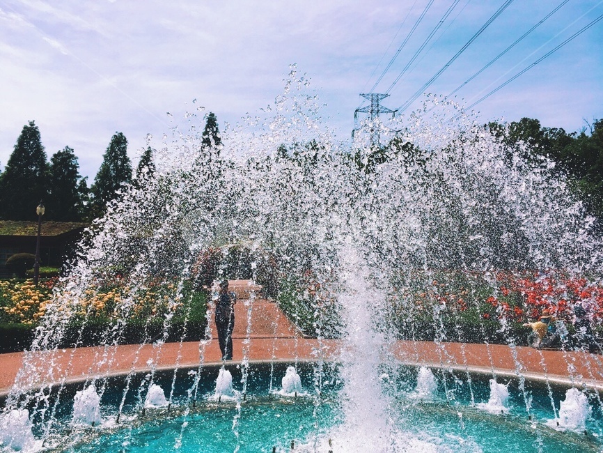 water,물,fountain,분수,공원,식물원,분수대