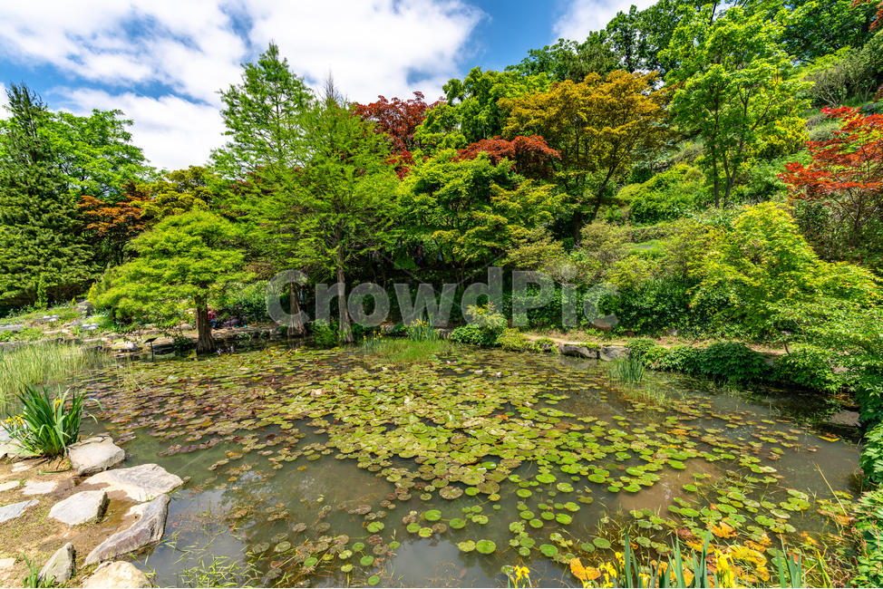 맑음,하늘,자연,공원,푸르름,맑은하늘,나무,sky,natural,park,풍경,구름,cloud,연못,자연,풍경,nature,landscape,outdoors,옥외,land,땅,water,물