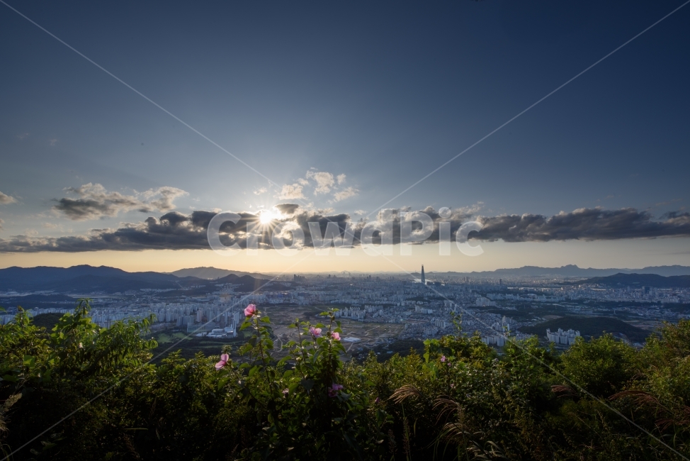 서울,야경,일몰,석양,구름,노을,롯데월드타워,롯데타워,무궁화,햇살,seoul,night,nightview,sunset,cloud,tower,flower,도시,도심,꽃,하늘,도시,풍경,city,landscape,한국도시풍경,한국도시경관,korea cityscape,flare,플레어,light,빛,nature,자연,outdoors,옥외