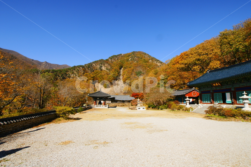 반야사,영동,가을,호랑이,풍경,가을,계절,fall,autumn,season,자연,풍경,nature,landscape,한국전통,한국문화,korean traditional,korean culture,종교,신앙,religion,belief,faith,건축물,건물외관,exterior,building,structure,architecture,construction,outdoors,옥외,housing,주택,건물