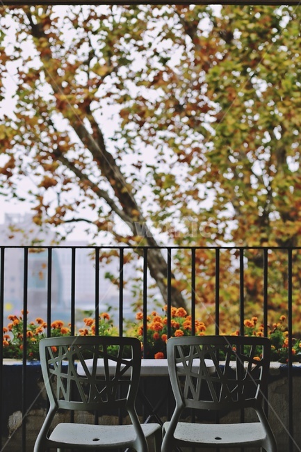 의자,테라스,나무,가을,chair,tree,fall,terrace,가을,계절,fall,autumn,season,furniture,가구,railing,난간