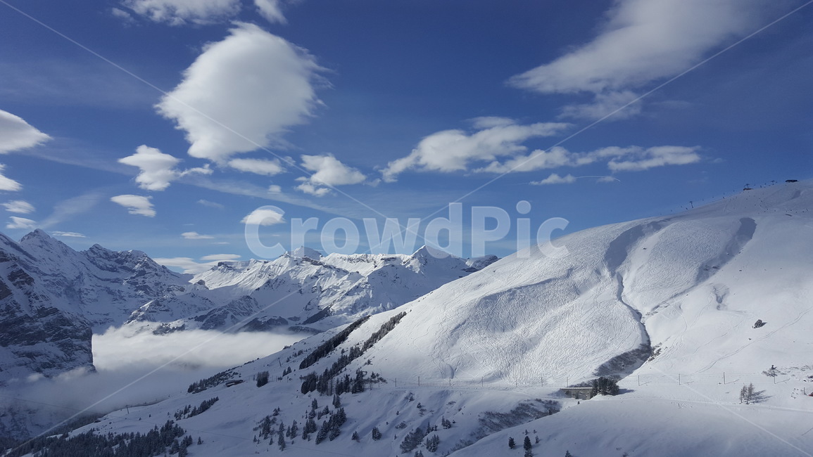 나무,스위스,눈,눈꽃,설경,산,겨울,겨울,계절,winter,season,자연,풍경,nature,landscape,outdoors,옥외,mountain,snow,glacier,빙하