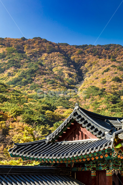 청평사,사찰,전통가옥,기와,기와지붕,문화유산,가을,단풍,단청,자연,풍경,건축물,지붕,가을,계절,fall,autumn,season,한국전통,한국문화,korean traditional,korean culture