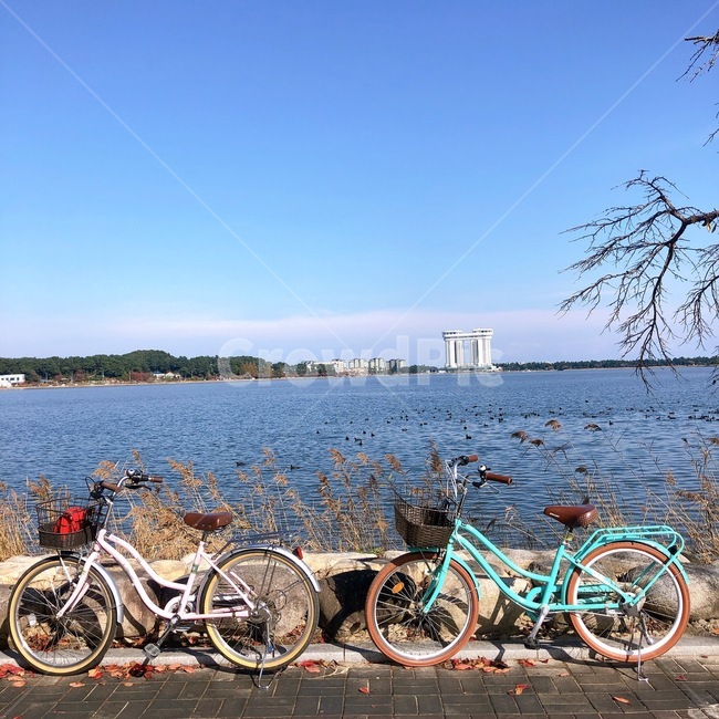 machine,기계,바퀴,wheel,vehicle,transportation,교통,bicycle,bike,자전거