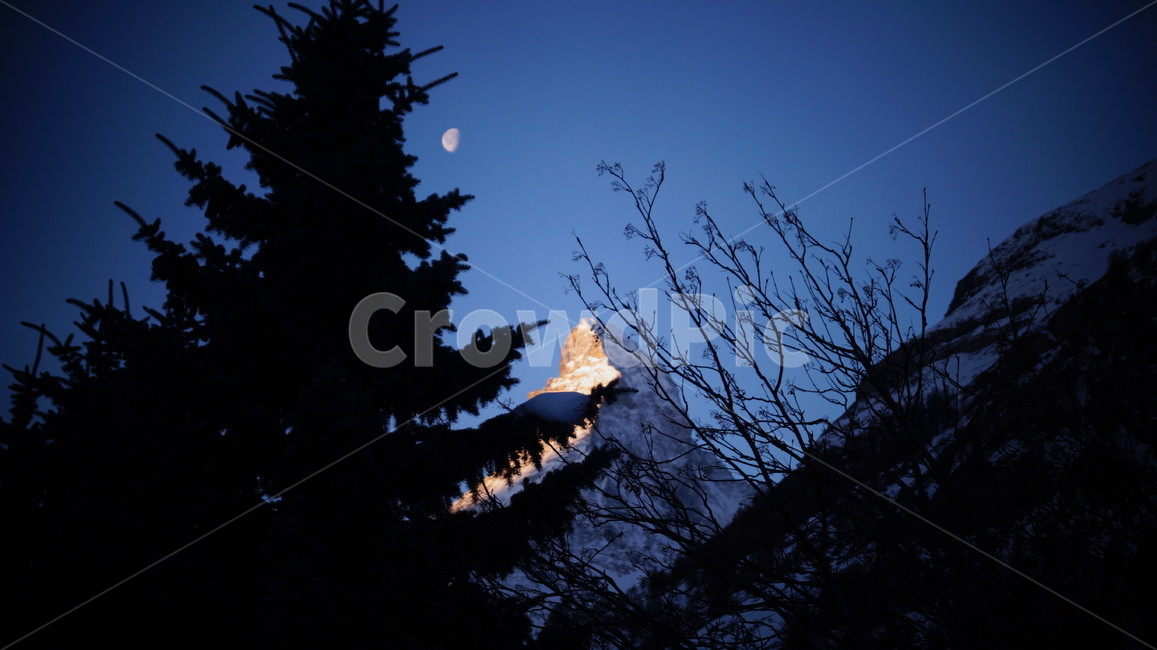 스위스,일출,나무,산,마터호른,야경,밤,풍경,nightscape,night,landscape,식물,자연,plants,nature,나무,trees,wood,outdoors,옥외