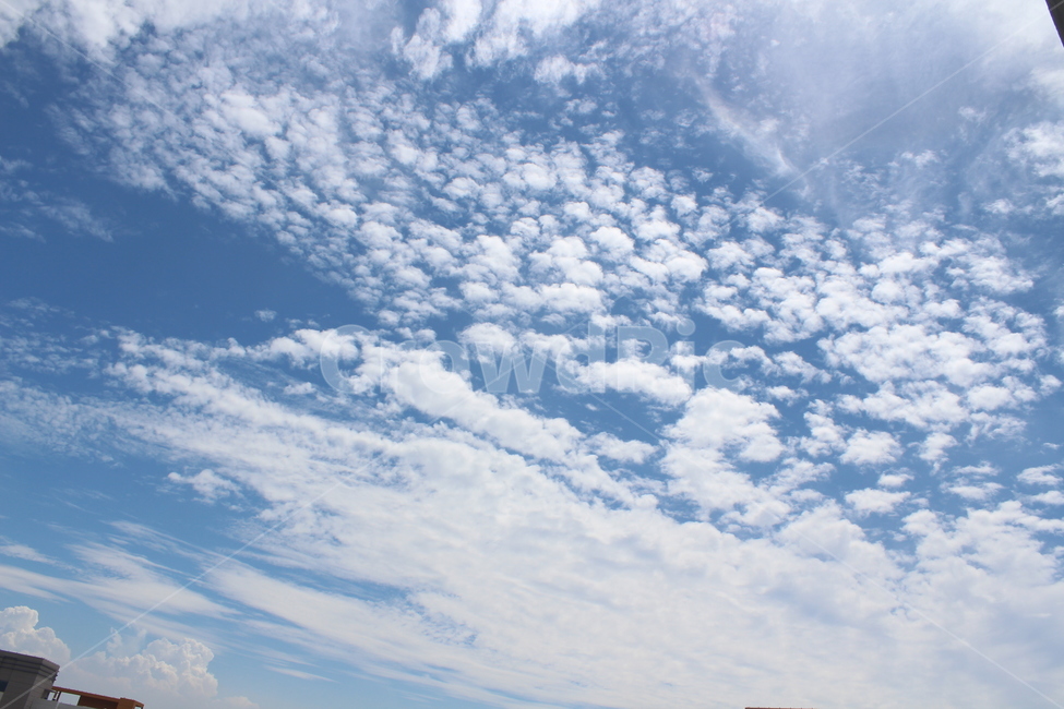 하늘,파란하늘,sky,흰구름,cloud