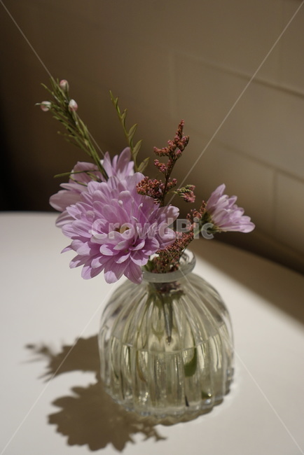 까페,인테리어,감성,화병,꽃병,flower,봄,실내용화초,화분,화초,house plant