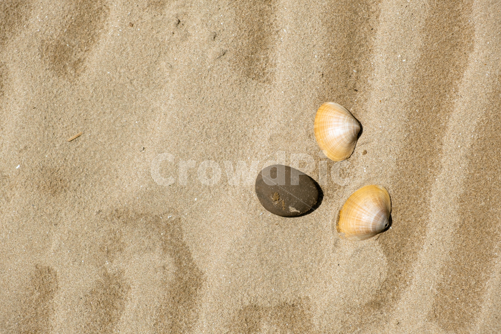 바다,바다모래,조개,조개껍질,바닷가,돌맹이,sand,해변,바다,beach,sea