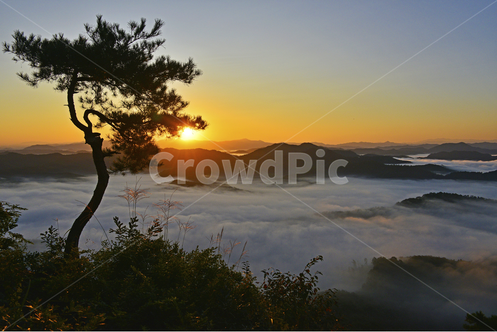 전북,임실,국사봉,국사봉일출,국사봉아침,국사봉운해,해돋이,운해,nature,자연,outdoors,옥외,light,flare,플레어,sky,하늘,redsky,붉은하늘,dawn,새벽,경치,경관,풍경,자연,풍경,nature,landscape