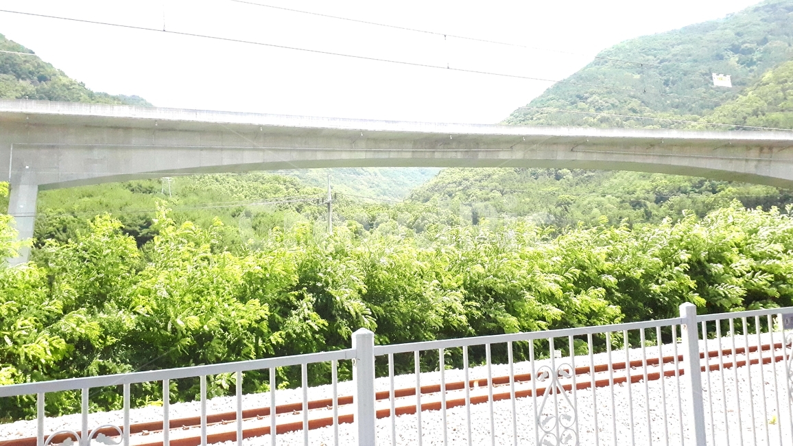 맑음,sunny,나무,기찻길,햇살,나뭇잎,전봇대,clean,road,tree,leaf,시멘트,기차,다리,전깃줄,난간,산,여름,railroad,train,brigde,mountain,summer,cement