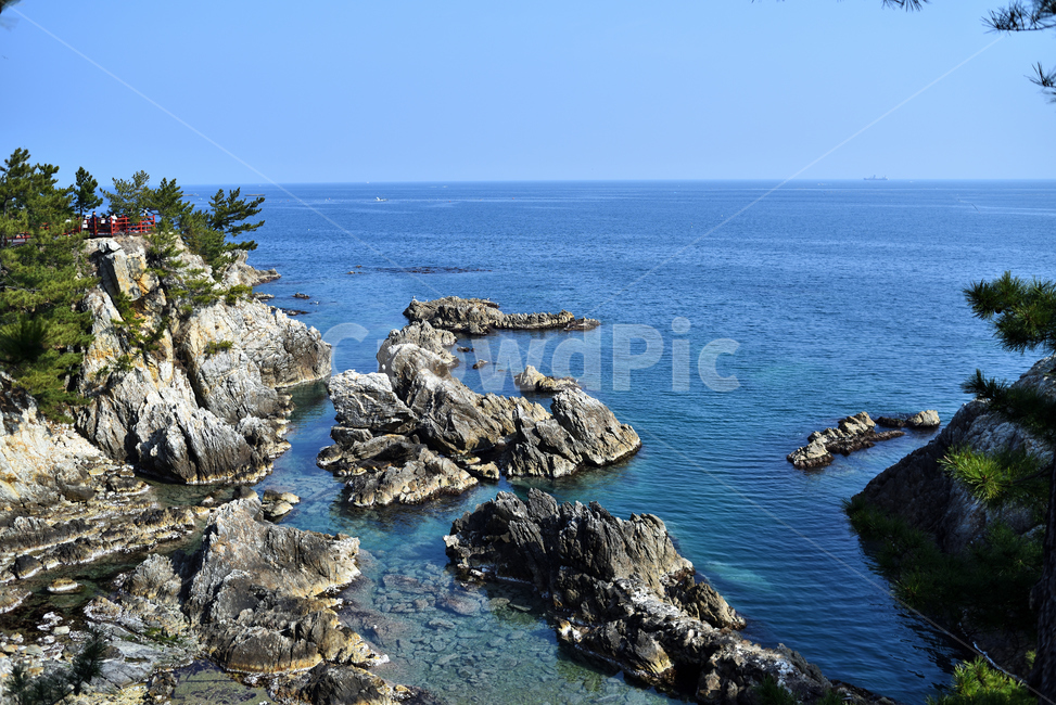 바다,삼척,절벽,휴가,풍경,휴식,휴양,동해,강원도,소나무,자연,풍경,nature,landscape,한국자연풍경,한국자연경관,korea nature landscape,promontory,곶