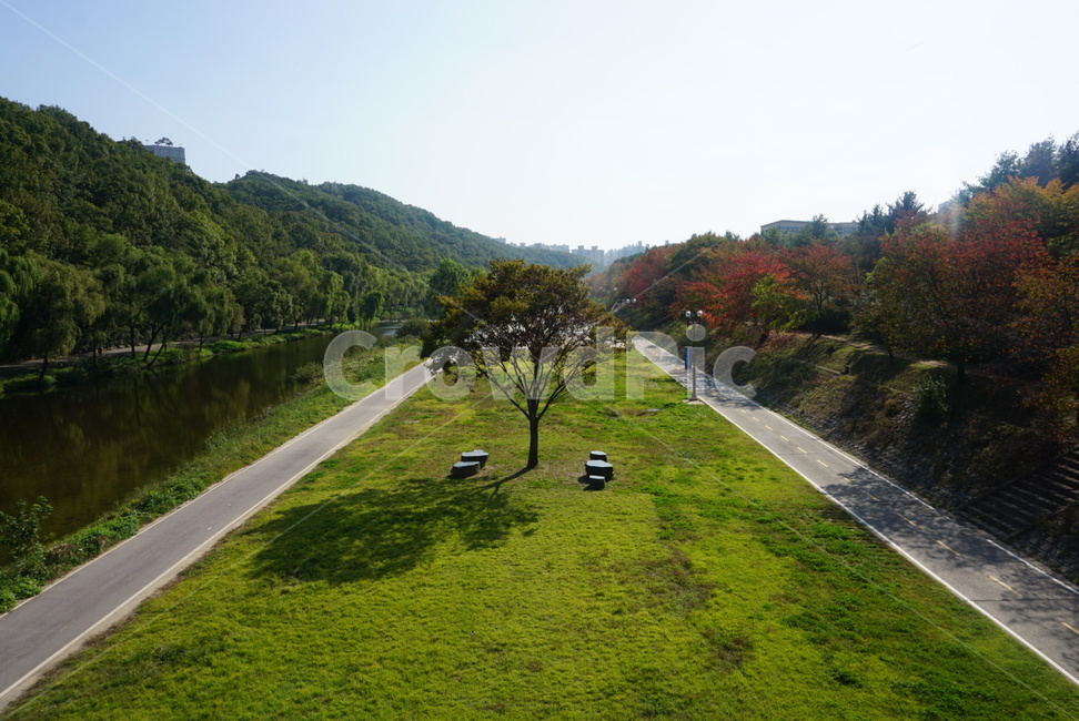 풍경,나무,광활함,landscape,경치